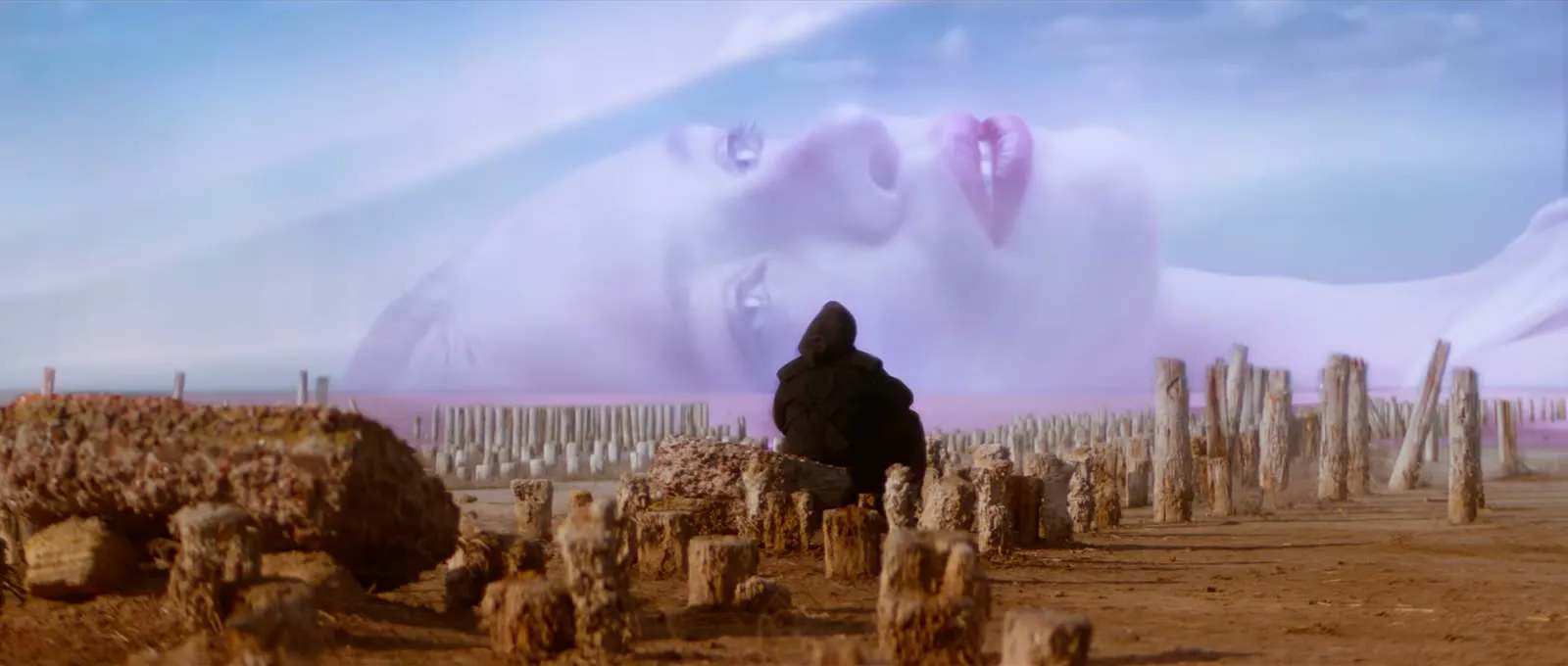 The memory of Lily
